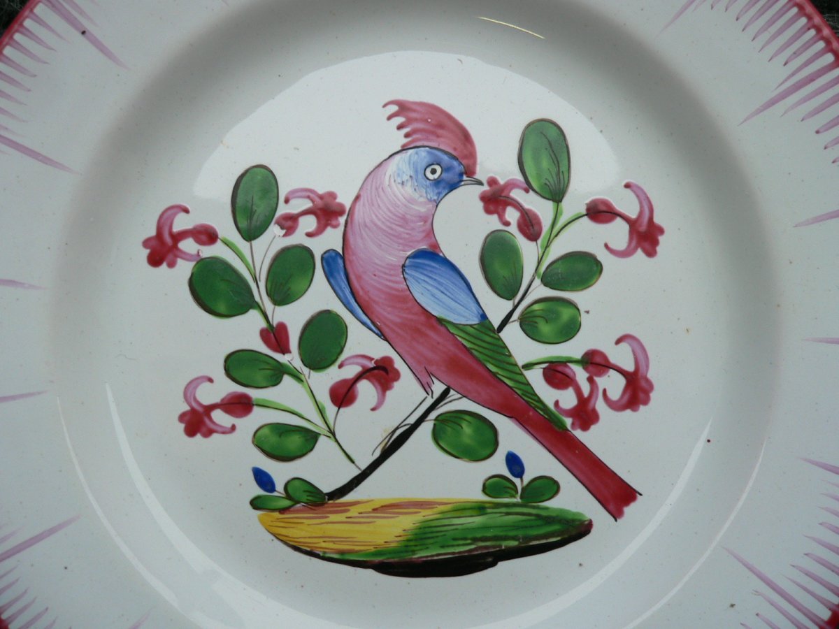 Nineteenth Islettes Earthenware Plate With A Parakeet Decor-photo-2