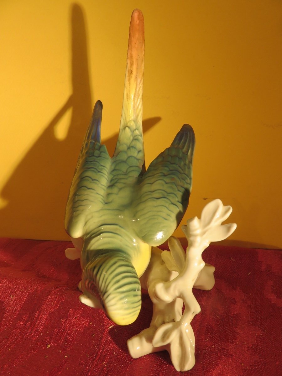 Oiseau branché  : Perruche en porcelaine polychrome de Karl Ens  XX ème-photo-2