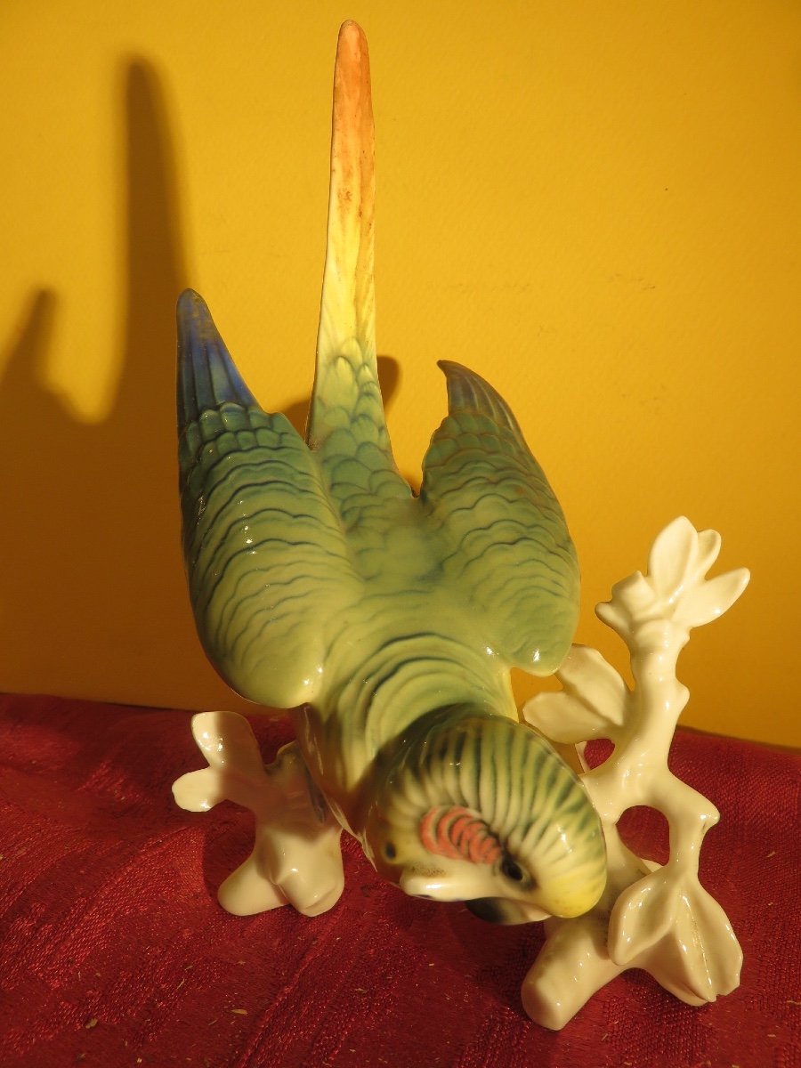 Oiseau branché  : Perruche en porcelaine polychrome de Karl Ens  XX ème-photo-2