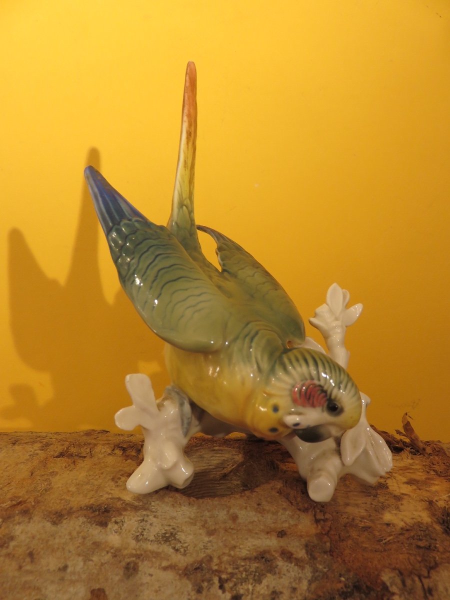 Oiseau branché  : Perruche en porcelaine polychrome de Karl Ens  XX ème-photo-3