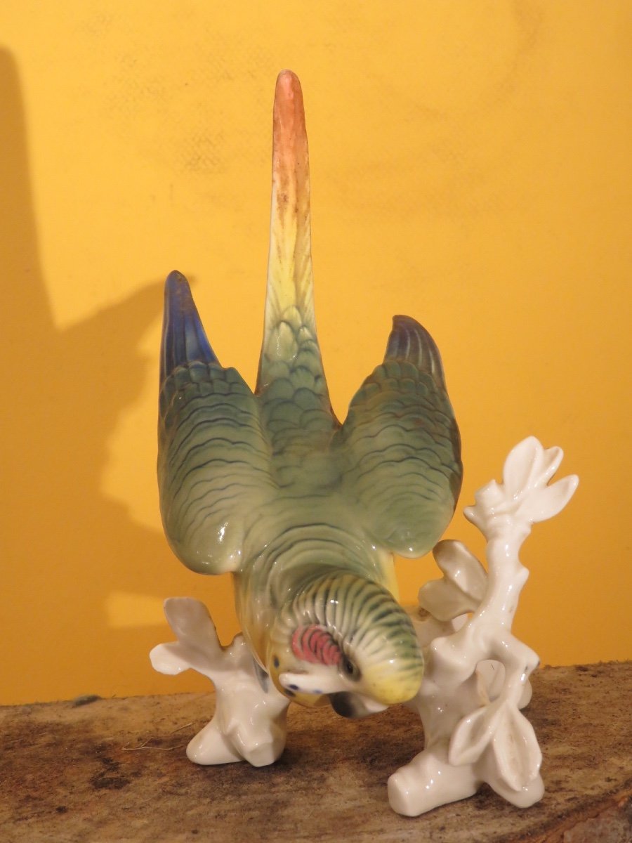 Oiseau branché  : Perruche en porcelaine polychrome de Karl Ens  XX ème