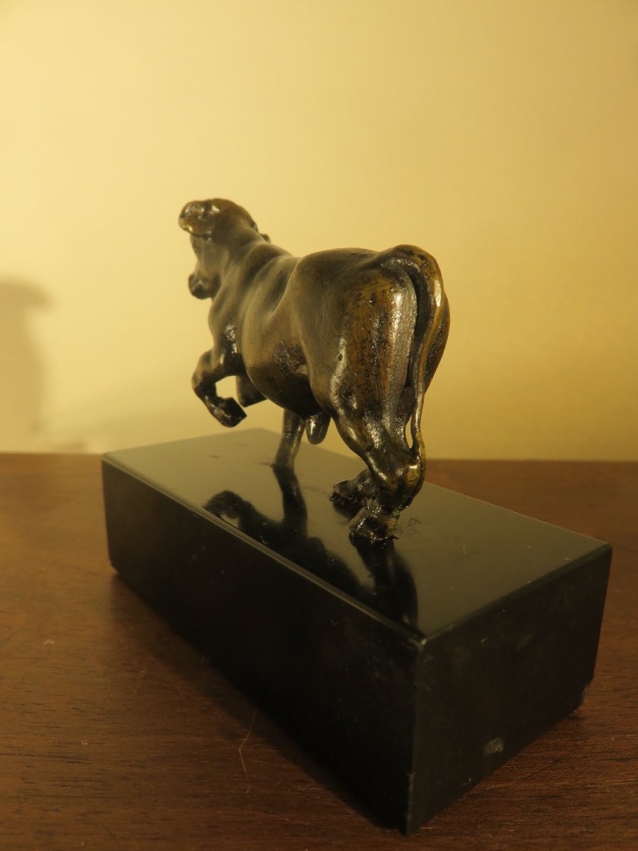 Petit bronze animalier : taureau sur un socle marbre noir  XIX ème-photo-3