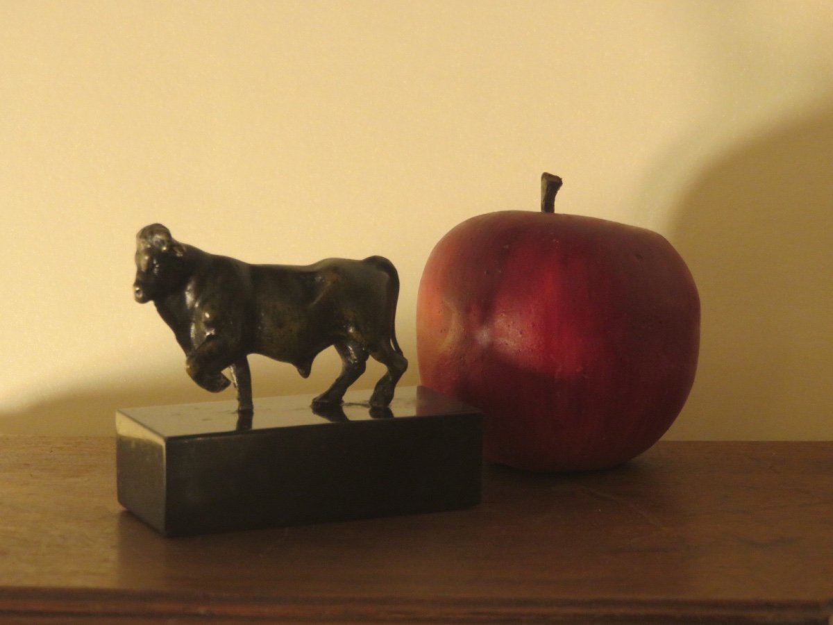 Petit bronze animalier : taureau sur un socle marbre noir  XIX ème-photo-4