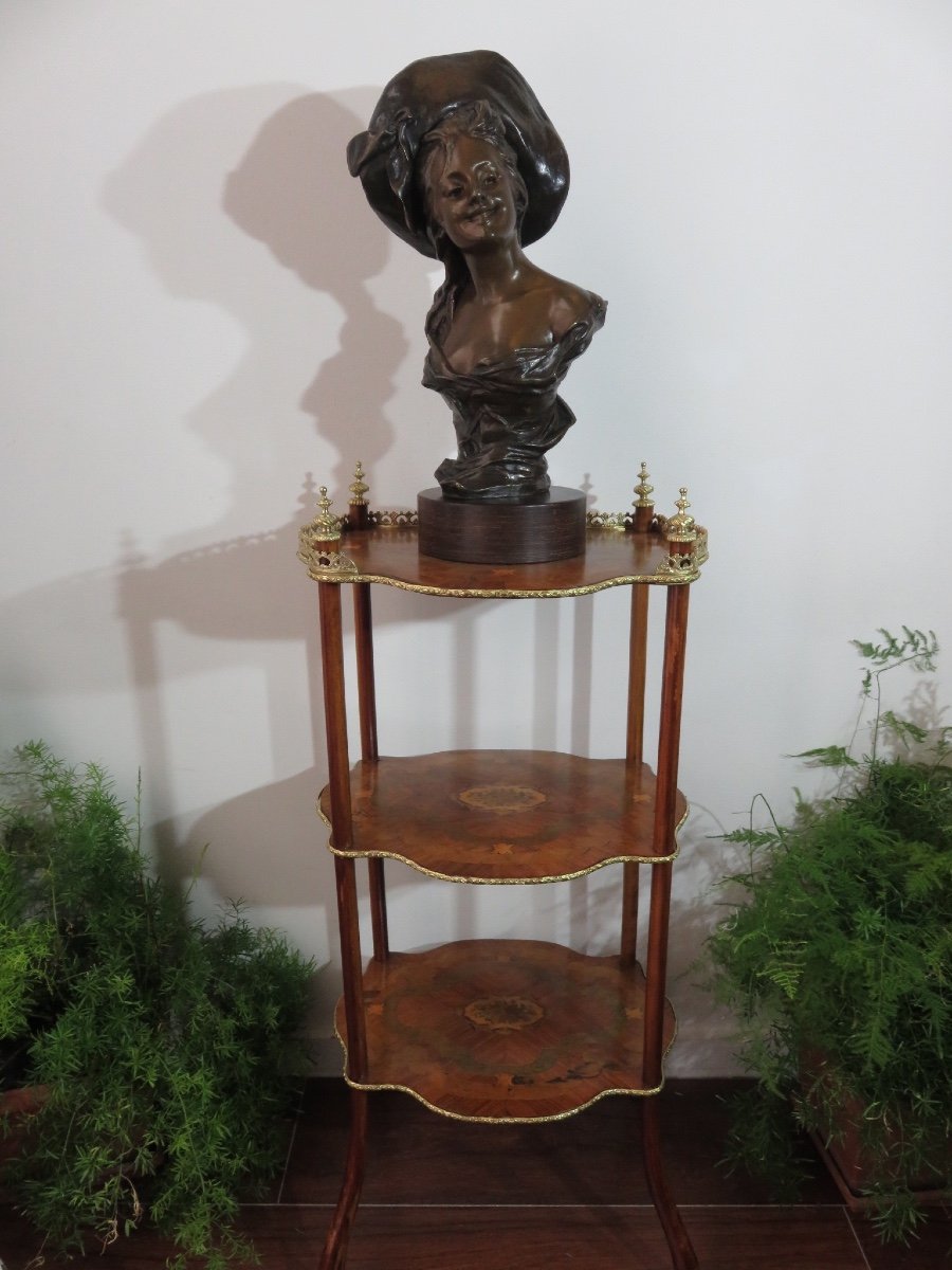 Bronze : Buste de jeune femme au chapeau de Van der Straeten ( 1856 - 1941)-photo-8