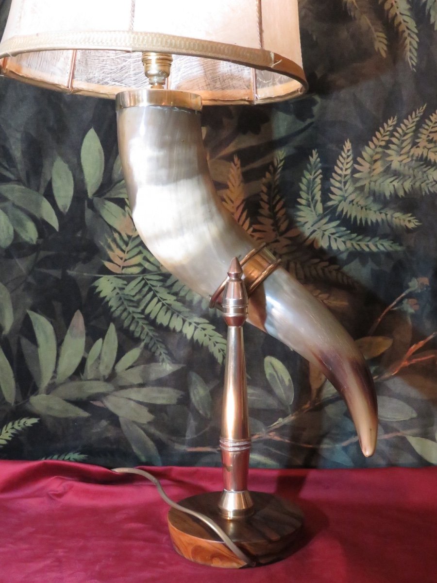 Horn Mounted As A Lamp-photo-2