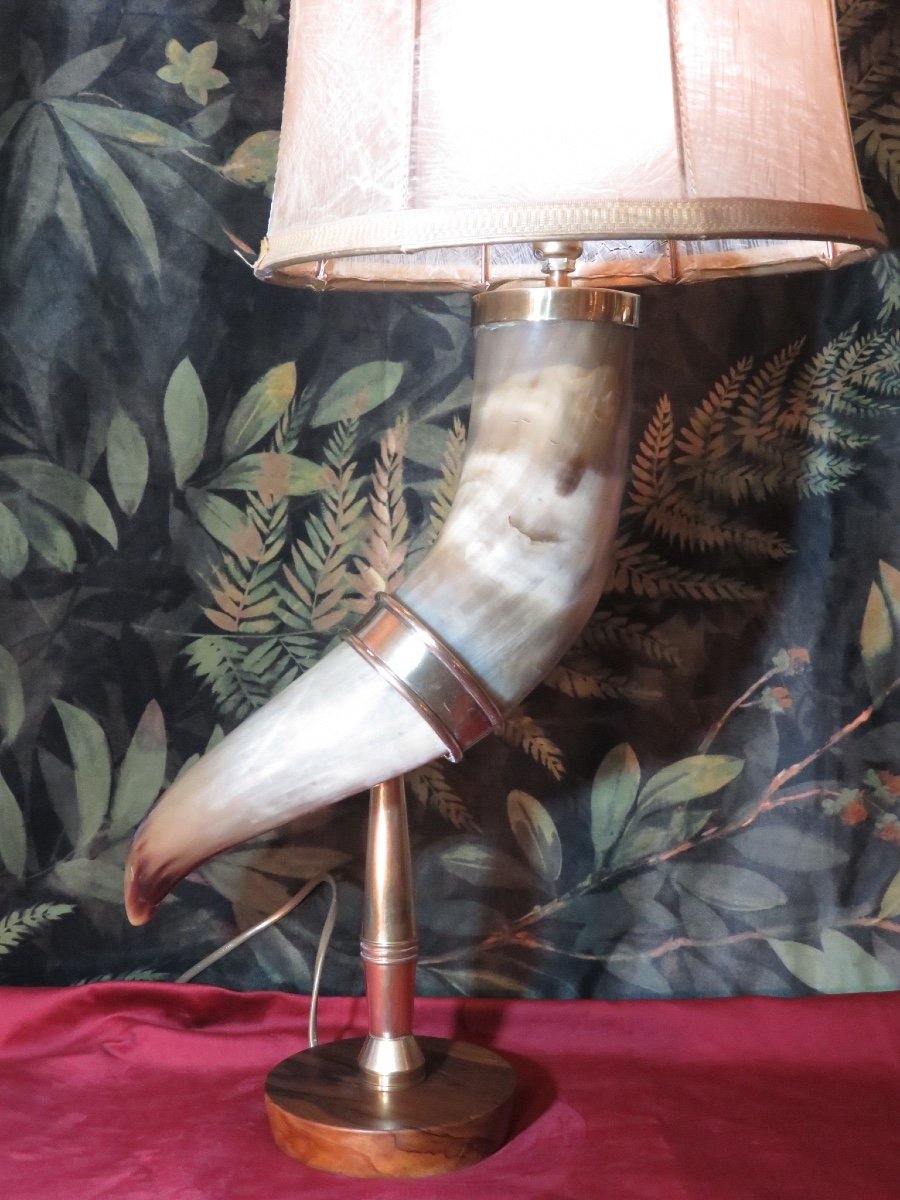 Horn Mounted As A Lamp-photo-3