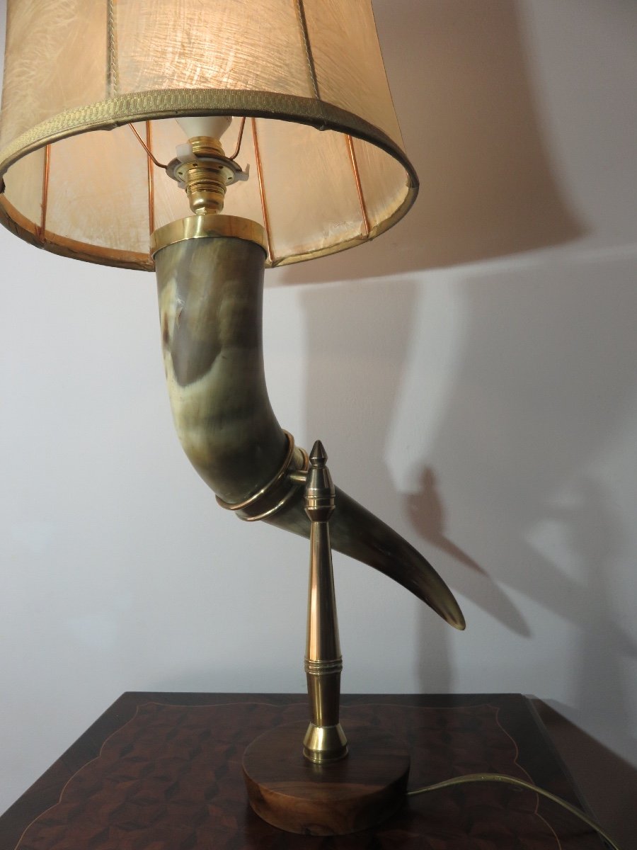 Horn Mounted As A Lamp-photo-3