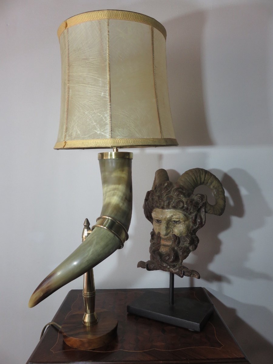 Horn Mounted As A Lamp-photo-4