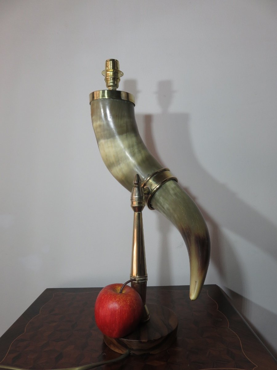 Horn Mounted As A Lamp-photo-6