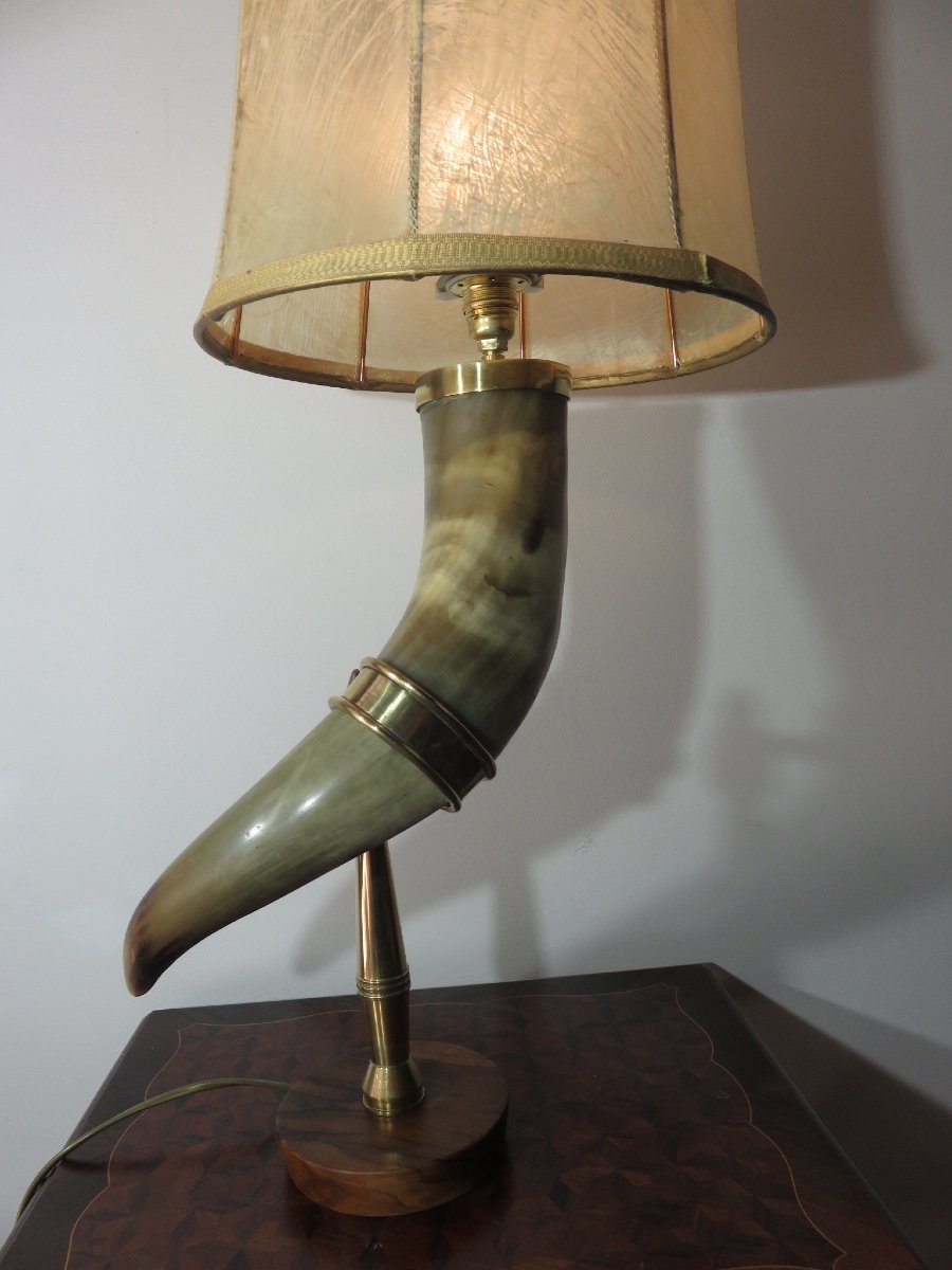 Horn Mounted As A Lamp-photo-7