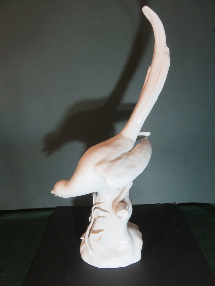 Oiseau en porcelaine blanche  ( HT 41 cm ) dans le goût des porcelaines allemandes XX ème-photo-3