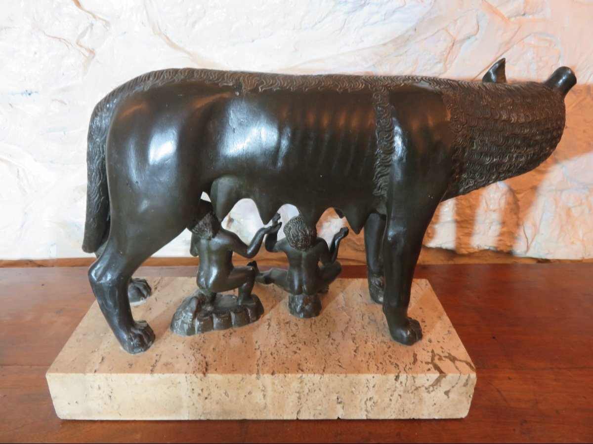 Bronze animalier d'après Antonio Pollaiuolo " La Louve du Capitole " XXème-photo-2