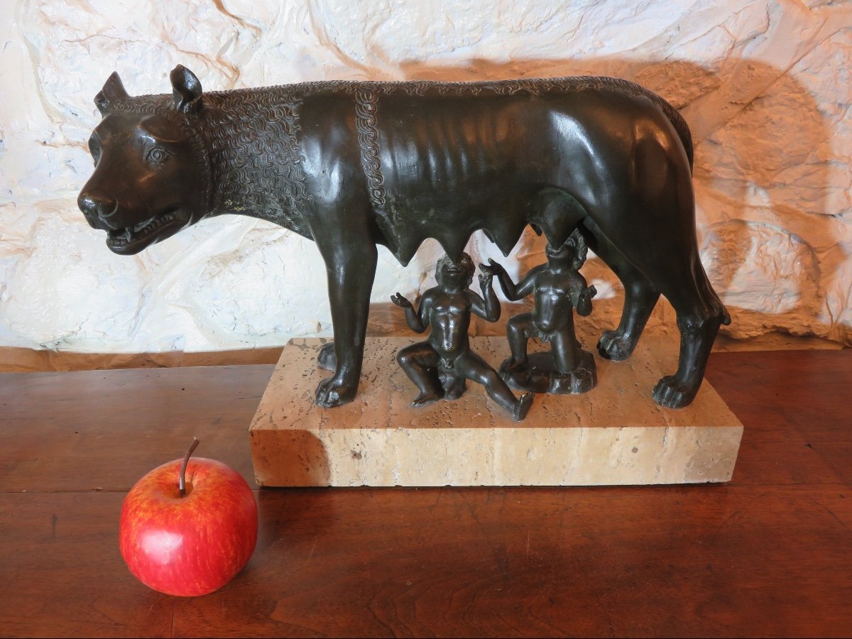 Bronze animalier d'après Antonio Pollaiuolo " La Louve du Capitole " XXème-photo-3