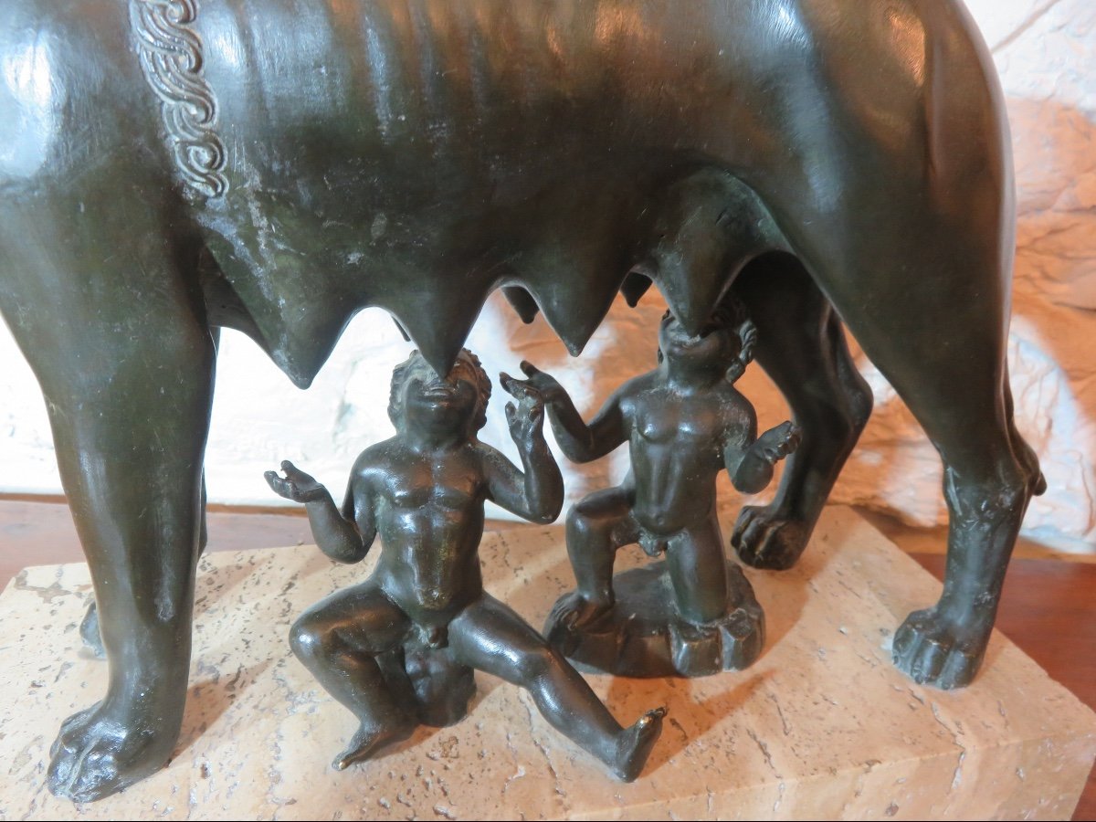 Bronze animalier d'après Antonio Pollaiuolo " La Louve du Capitole " XXème-photo-1