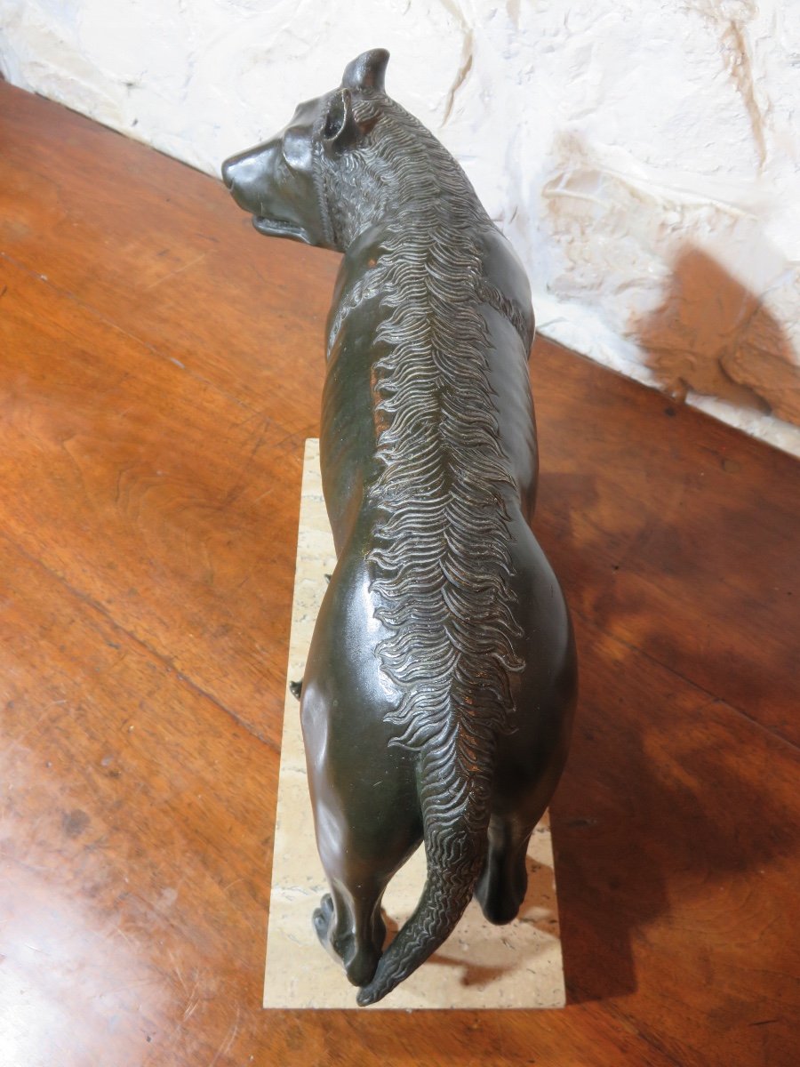 Bronze animalier d'après Antonio Pollaiuolo " La Louve du Capitole " XXème-photo-3