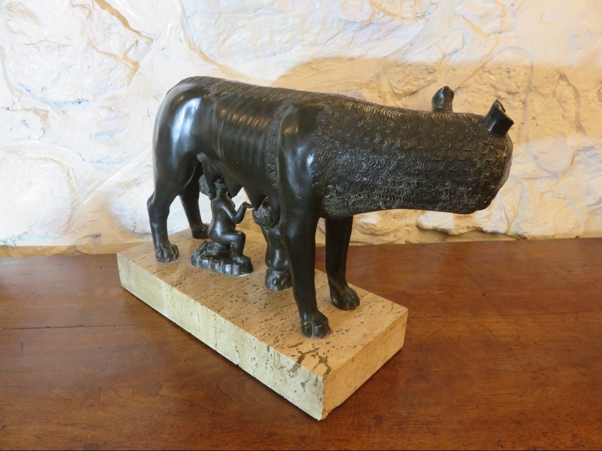 Bronze animalier d'après Antonio Pollaiuolo " La Louve du Capitole " XXème-photo-4