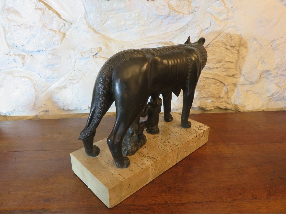Bronze animalier d'après Antonio Pollaiuolo " La Louve du Capitole " XXème-photo-5