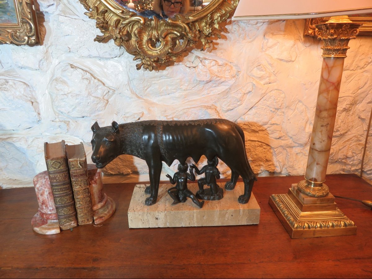 Bronze animalier d'après Antonio Pollaiuolo " La Louve du Capitole " XXème-photo-8