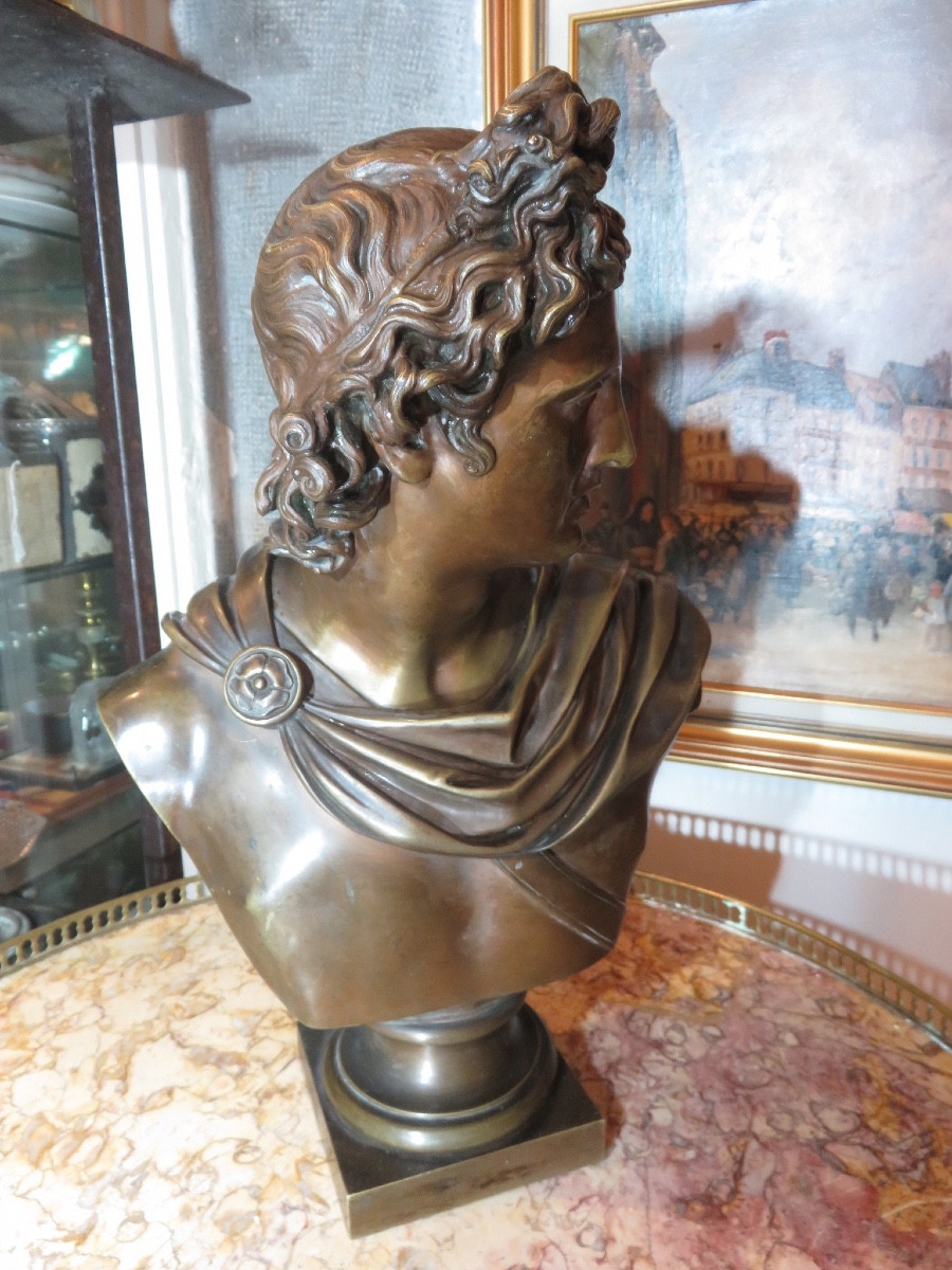 Buste en Bronze  " l'Apollon Du Belvédère "  Patine Médaille  ( Ht 43 Cm) fin XIX ème-photo-3