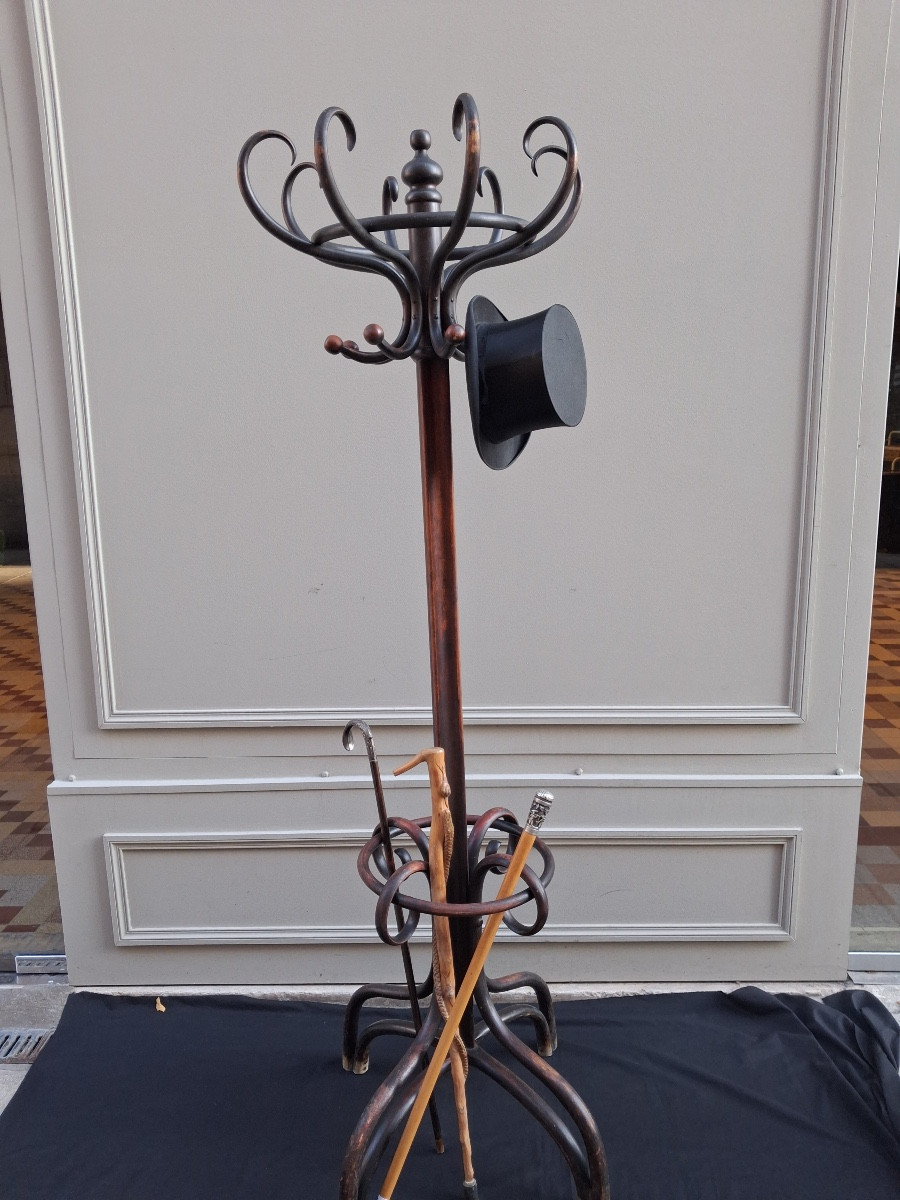 Art Nouveau "parrot" Coat Rack In The Style Of Thonet -photo-1