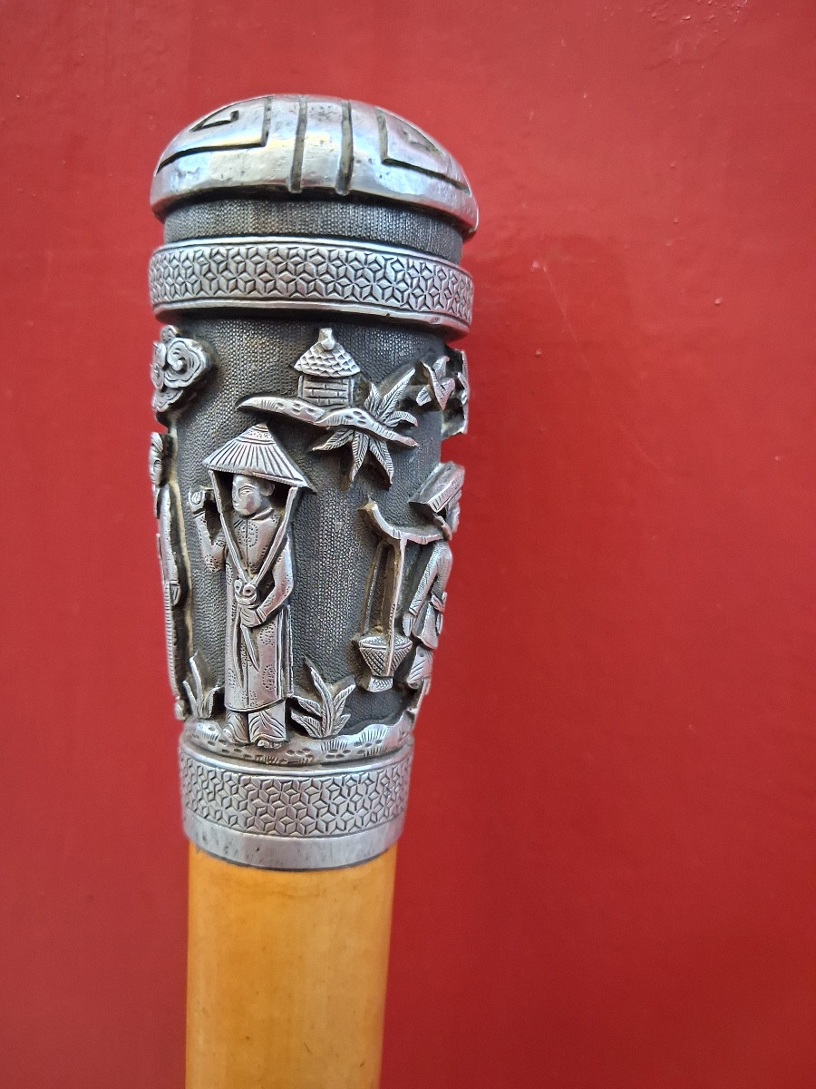  Canne à pommeau d'argent en jonc  de Malacca  XIX ème -photo-4