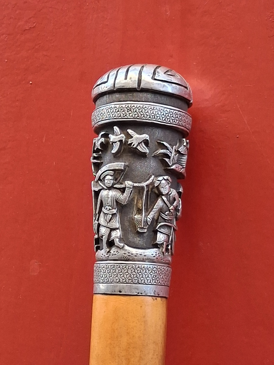  Canne à pommeau d'argent en jonc  de Malacca  XIX ème -photo-4