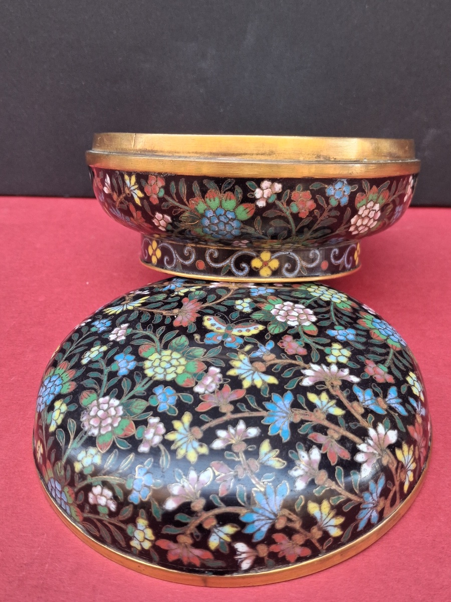 Cloisonné Enamel Box With Floral Decoration, Guangxu Period (1875–1908)-photo-2