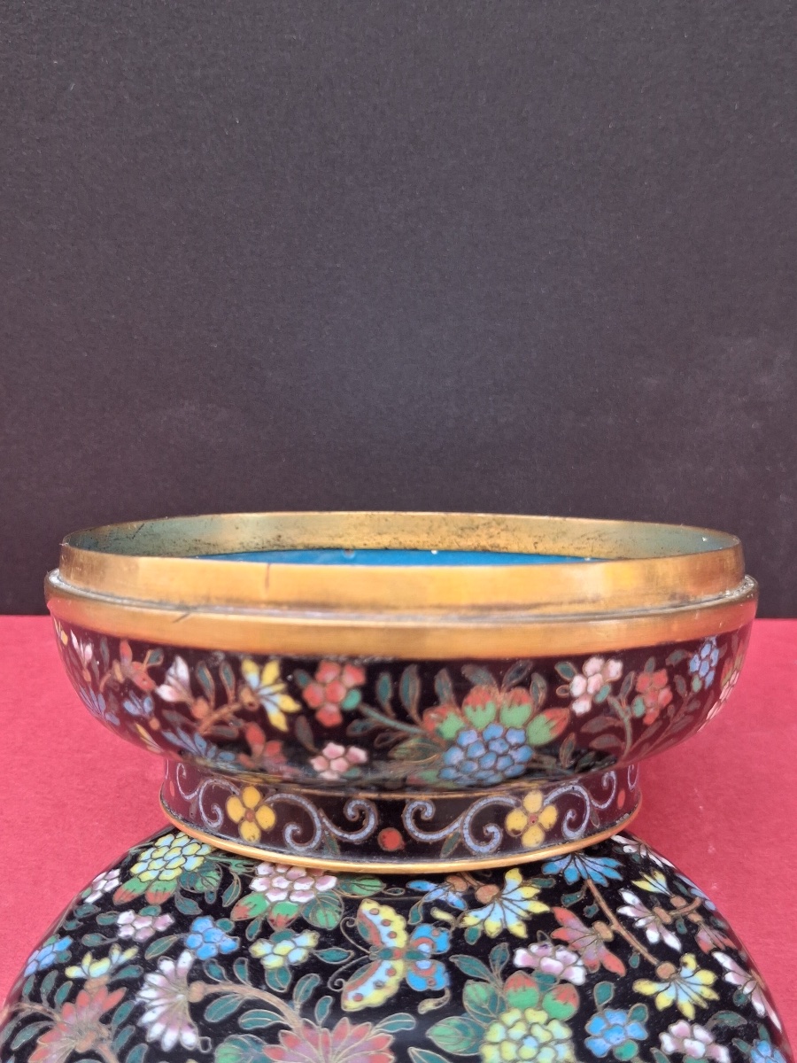 Cloisonné Enamel Box With Floral Decoration, Guangxu Period (1875–1908)-photo-5