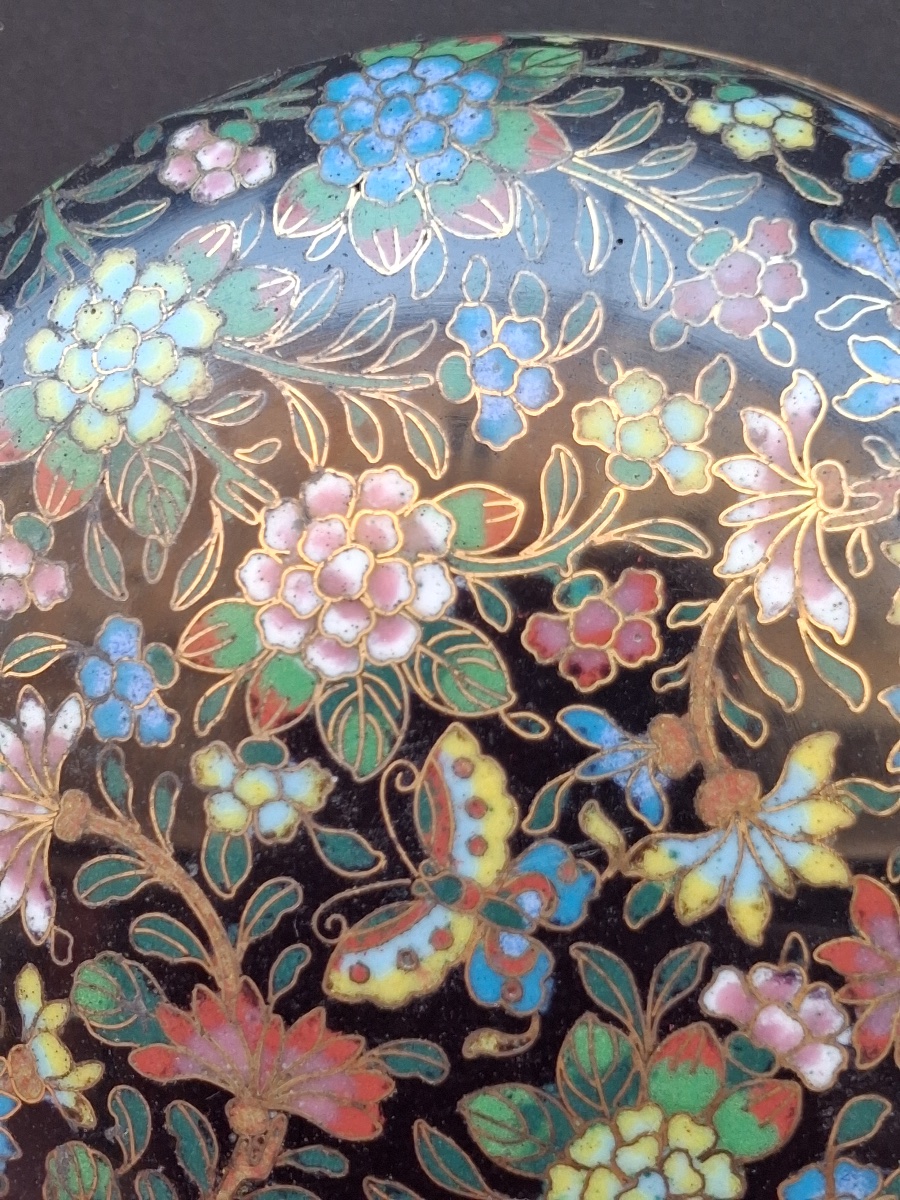 Cloisonné Enamel Box With Floral Decoration, Guangxu Period (1875–1908)-photo-6