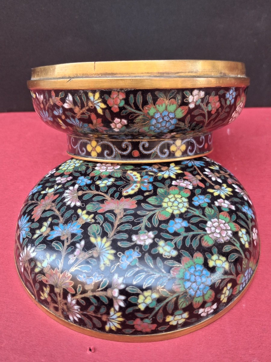 Cloisonné Enamel Box With Floral Decoration, Guangxu Period (1875–1908)-photo-7