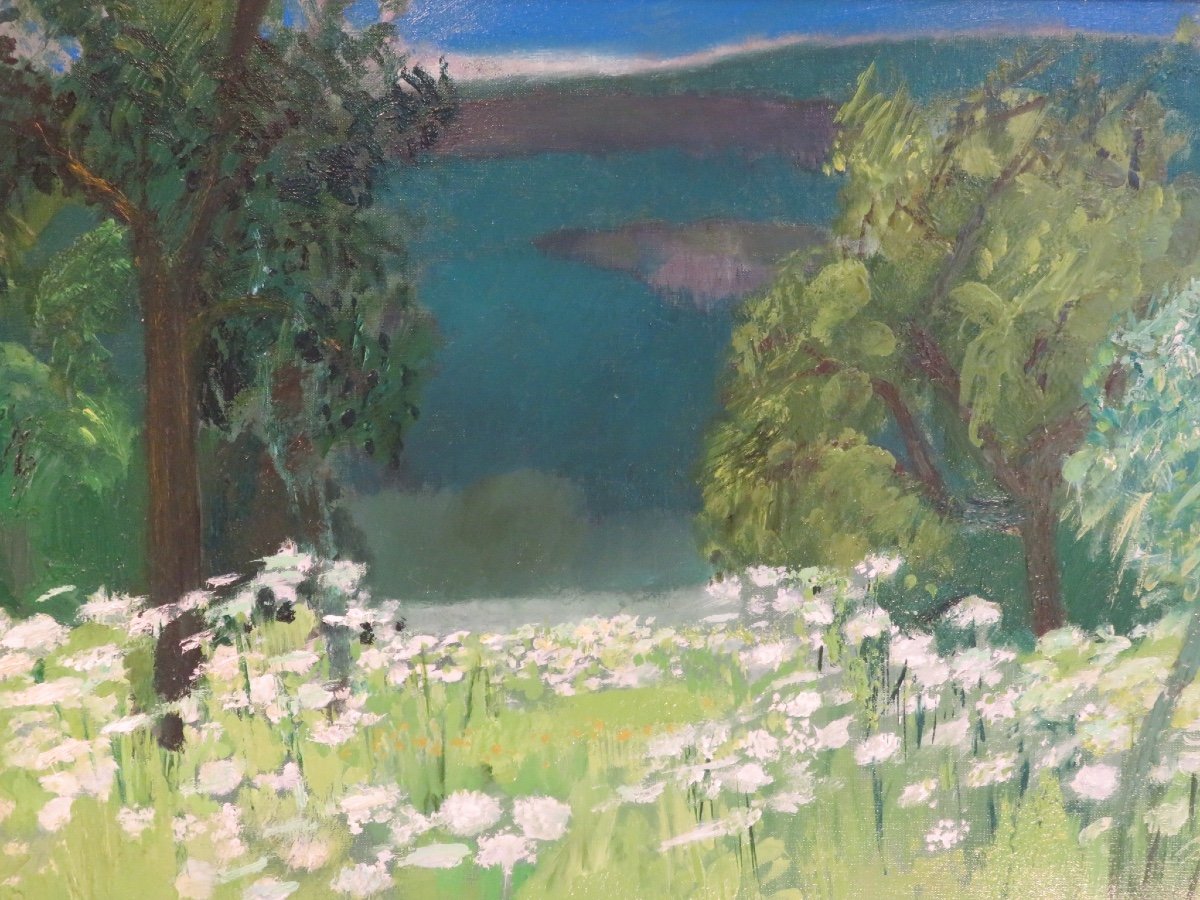 Guy Bardone (1927 - 2015 ) Prairie d'Ombelles -photo-2