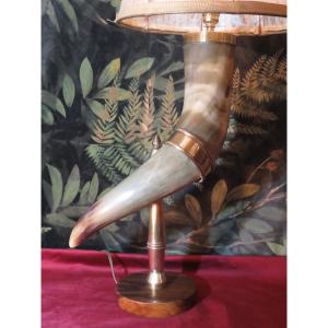 Horn Mounted As A Lamp