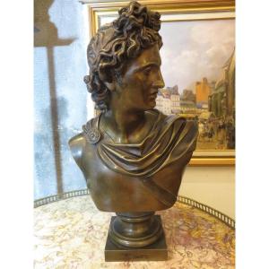 Buste en Bronze  " l'Apollon Du Belvédère "  Patine Médaille  ( Ht 43 Cm) fin XIX ème