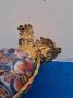 1808206-alb-6a7ed9825b16f.jpg