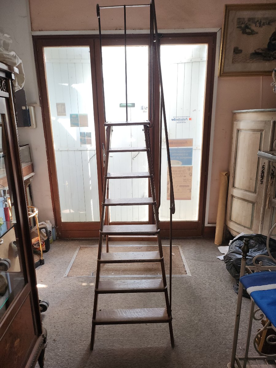 Library Ladder