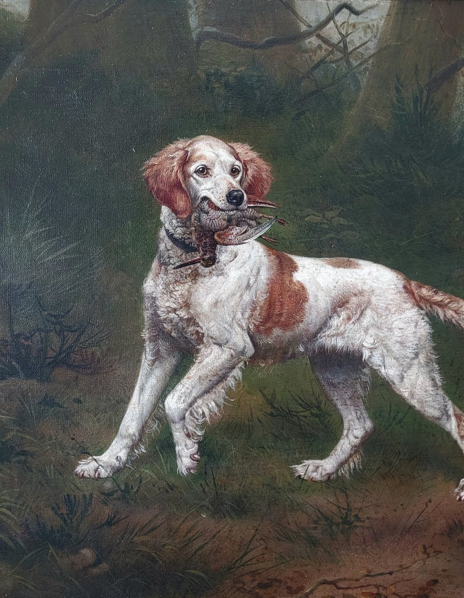 Gaspard Van Reth: "spaniel Bringing Back A Woodcock", Hst, 1898-photo-3