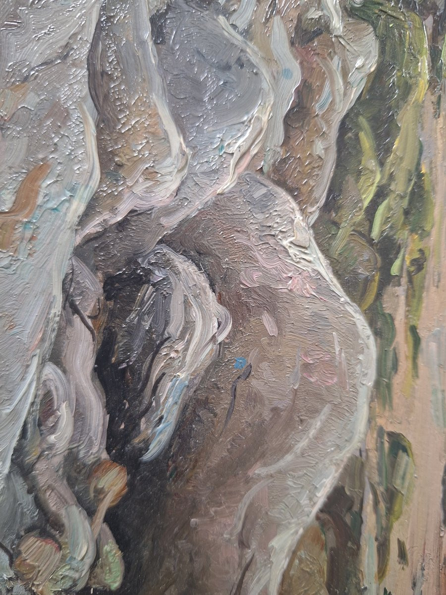 Georges Maroniez, baie rocheuse.-photo-3
