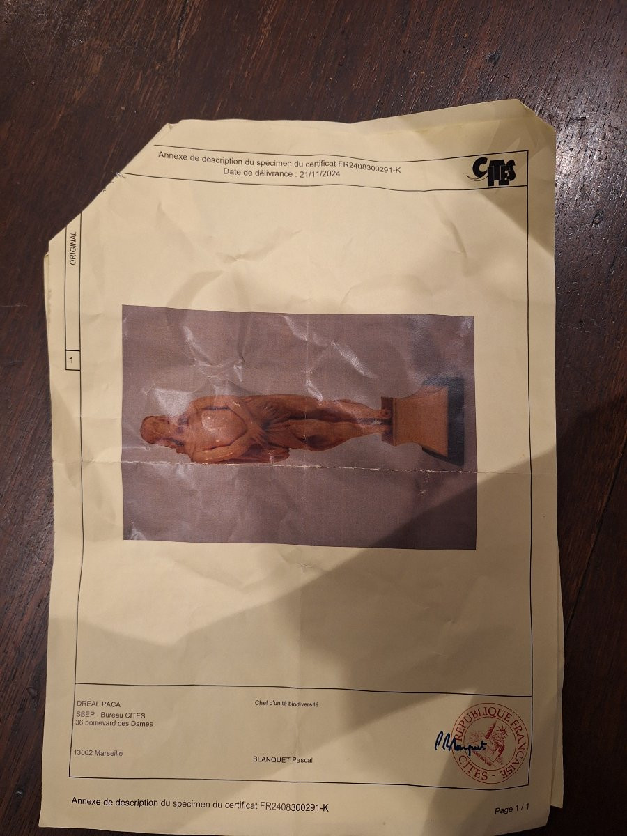 Christ aux liens  en ivoire époque XVIIIEME avec Cites-photo-7