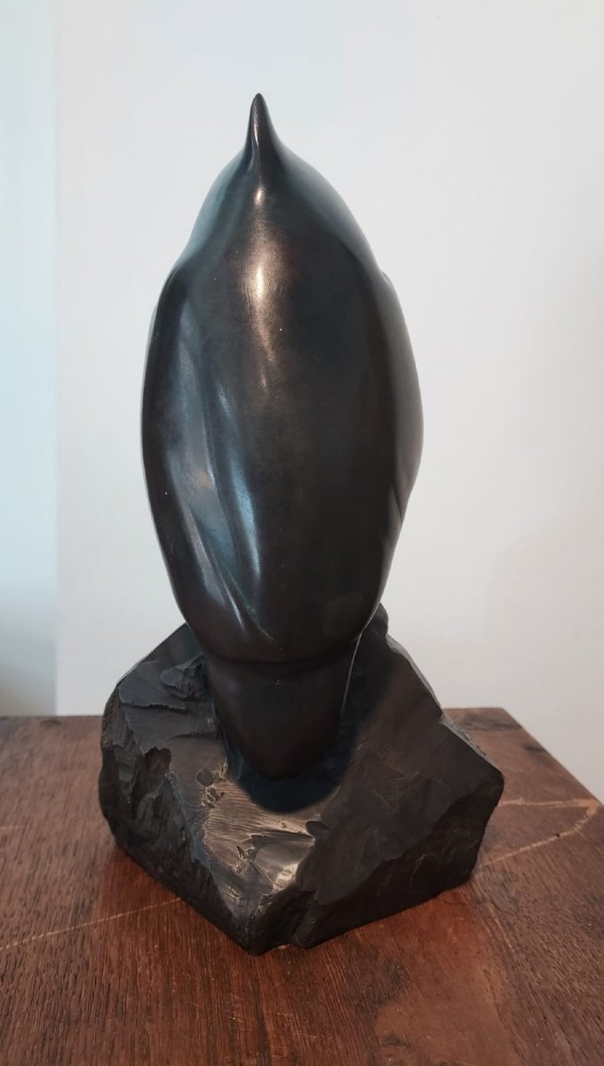 Jean Lemonnier :"le Martin pêcheur " bronze à  patine brune -photo-6