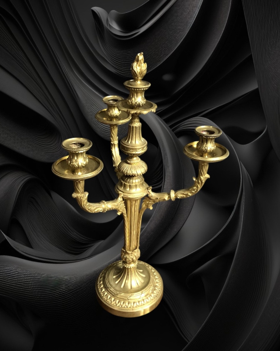 Paire de candélabres en bronze-photo-5