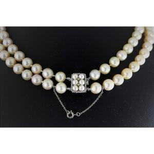 Collier perle de culture Akoya - fermoir + chainette de sureté en or