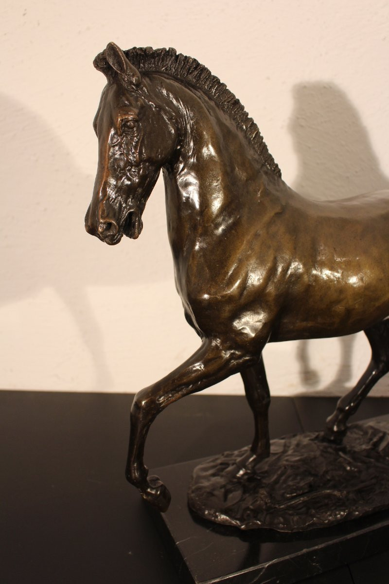 Cheval en bronze 19e siècle-photo-3