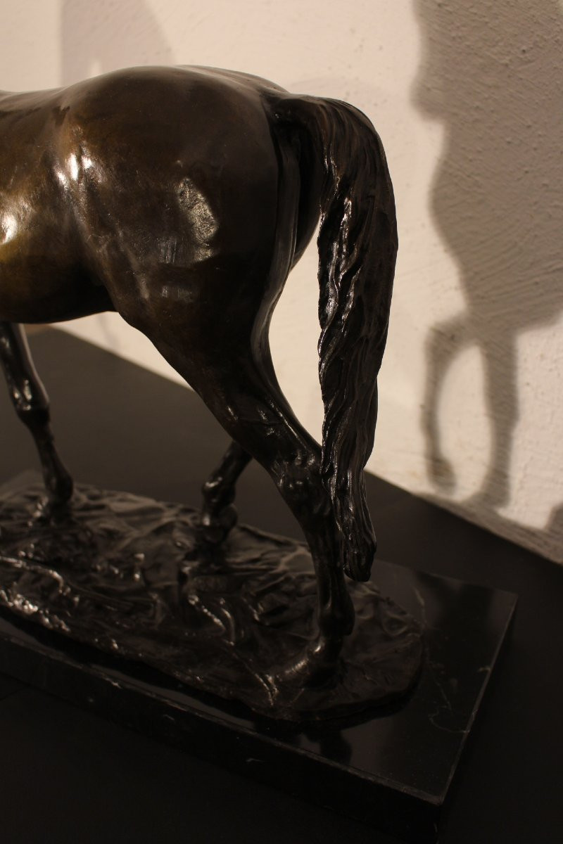 Cheval en bronze 19e siècle-photo-4