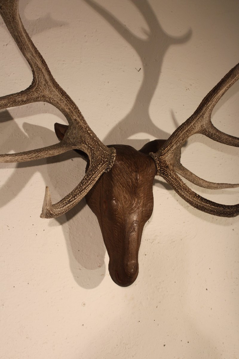  Tête de cerf en bois-photo-3