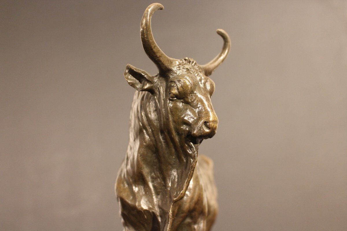 Bronze Bull-photo-2