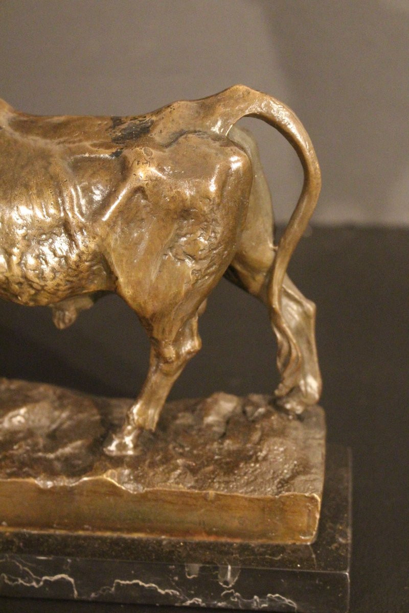 Bronze Bull-photo-3