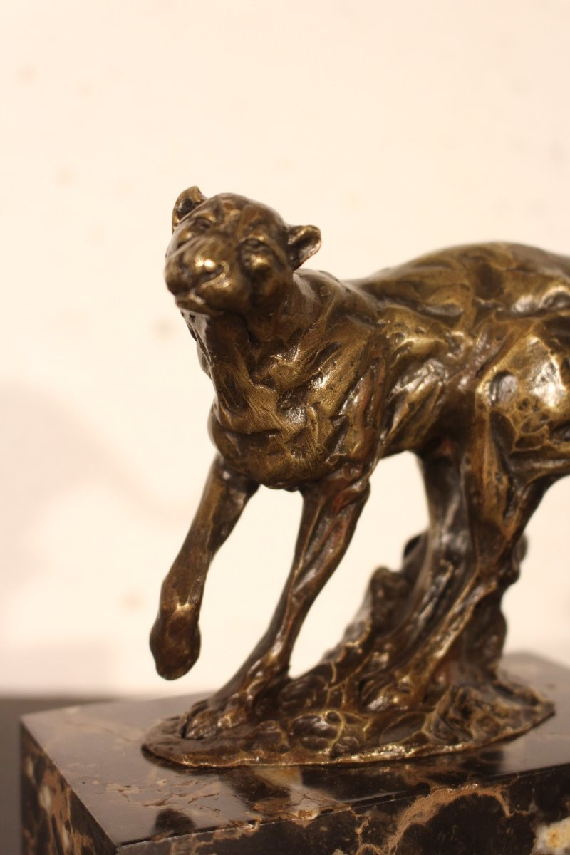  Animal Bronze-photo-3