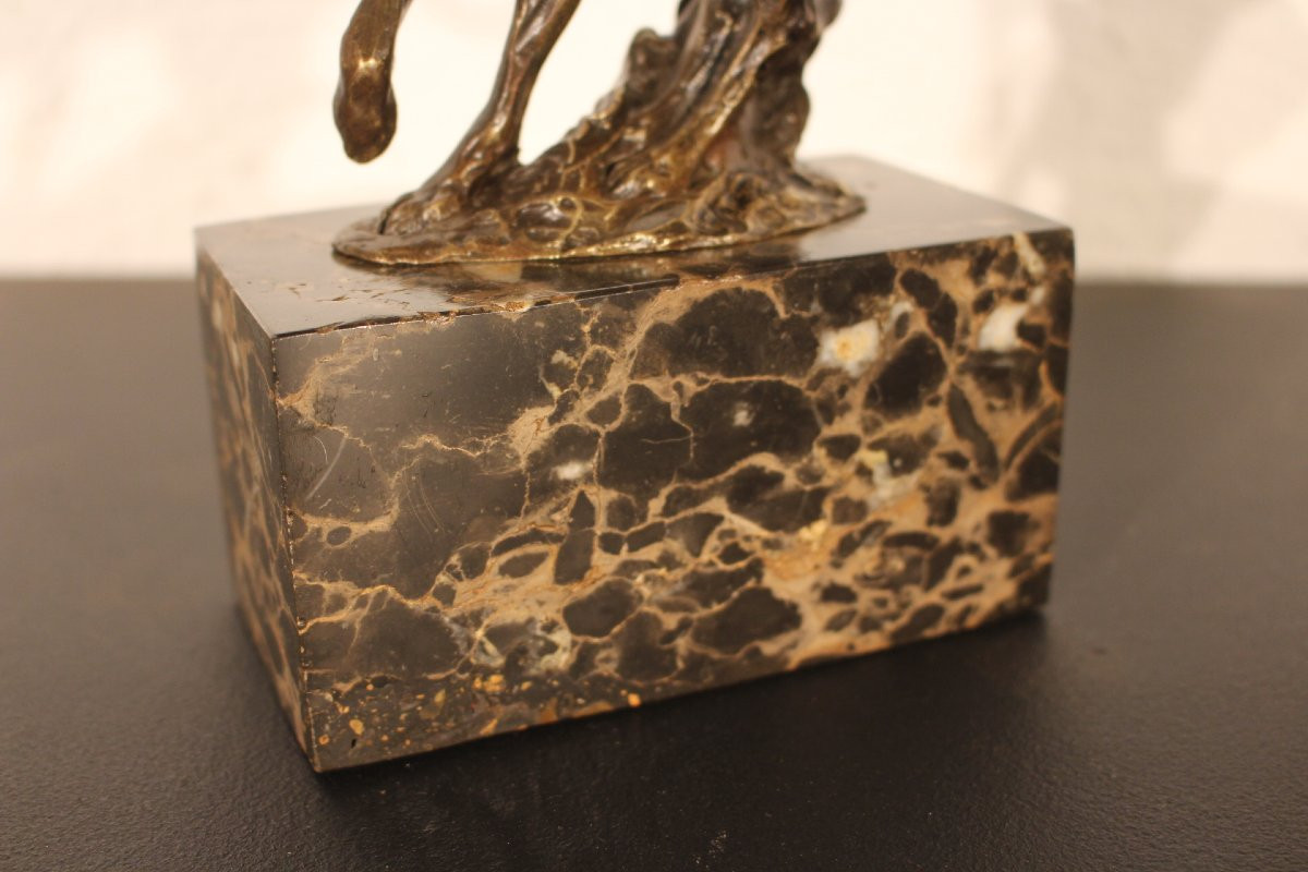  Animal Bronze-photo-4