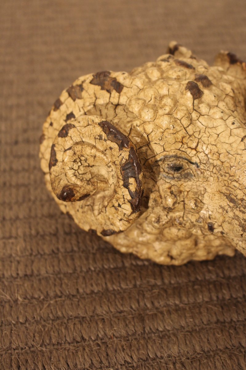 Cast-iron Ram's Head-photo-3