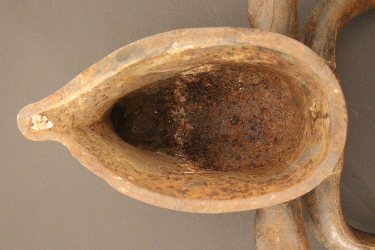   Cast-iron Cow's Head-photo-2